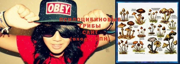 прущая мука Кинешма